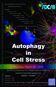 Autophagy